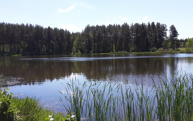 Первое озеро в Коростышеве